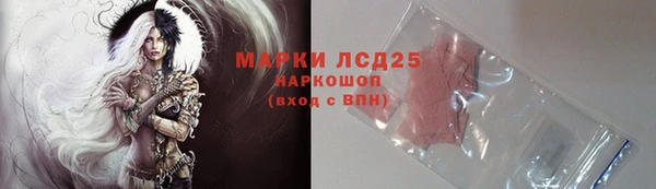 прущие грибы Карпинск