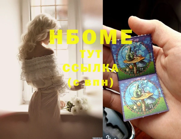 прущие грибы Карпинск