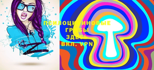 прущие грибы Карпинск