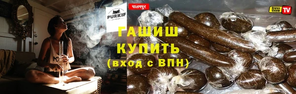 прущие грибы Карпинск