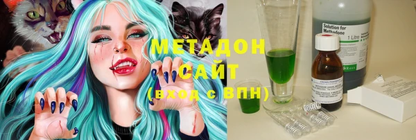 прущие грибы Карпинск