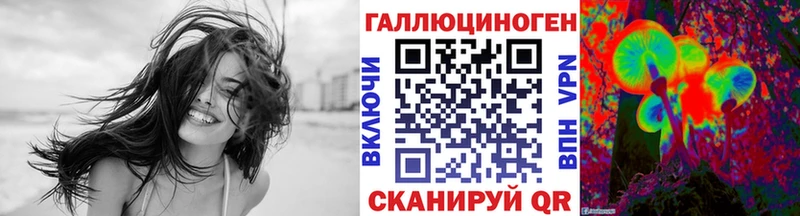 Купить где Южно-Сахалинск Галлюциногенные грибы GOLDEN TEACHER